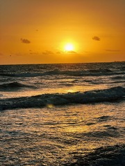 F3BB1A0F-BBA1-4111-8450-AD0BD370BE19/L0/001