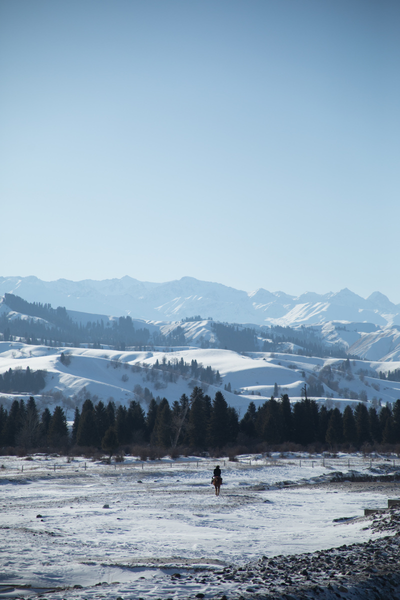 新疆伊犁那拉提草原的冬天