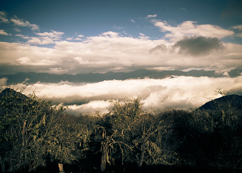 主峰及九座顶峰位于什邡市红白镇境内,因九座顶峰相连而得名九顶山