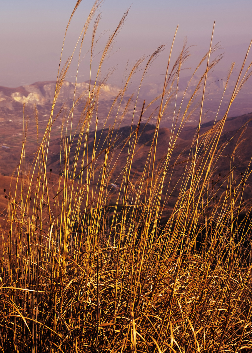 因山脊酷似刀背而得名冬季的山顶草木已经枯黄呈现出的是另外一种色彩