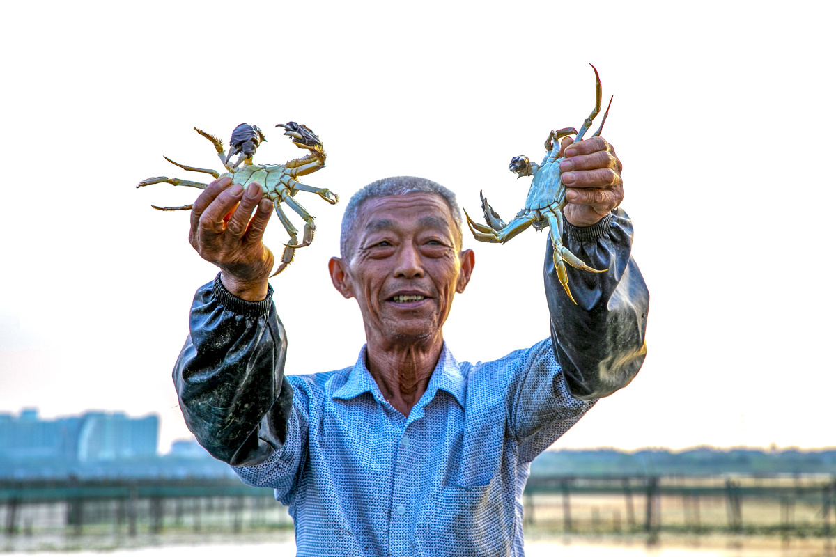 苏州阳澄湖大闸蟹养殖基地