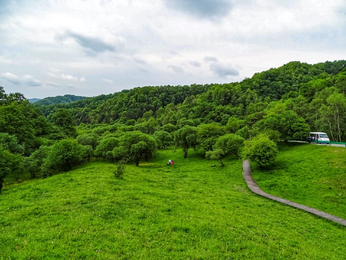 陕西宝鸡大水川景区仲夏时节风光