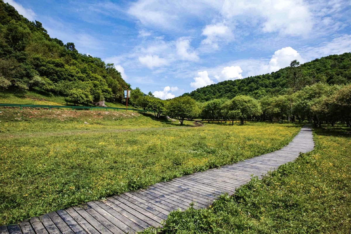 陕西宝鸡大水川景区仲夏时节风光