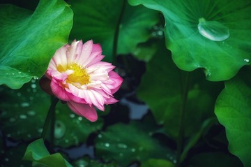 001