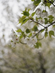 04E5CEA4-F88C-4CE0-B7F7-37096FAE63AE/L0/001