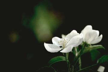 D5B6FEB5-0B13-4259-A2BE-81A4795F260A/L0/001