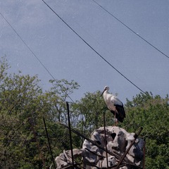A88501AC-072F-42CD-93C1-C945093EFD77/L0/001