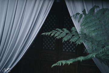 04835DDC-BF0B-4D0A-B1F8-2528E7872F5C/L0/001