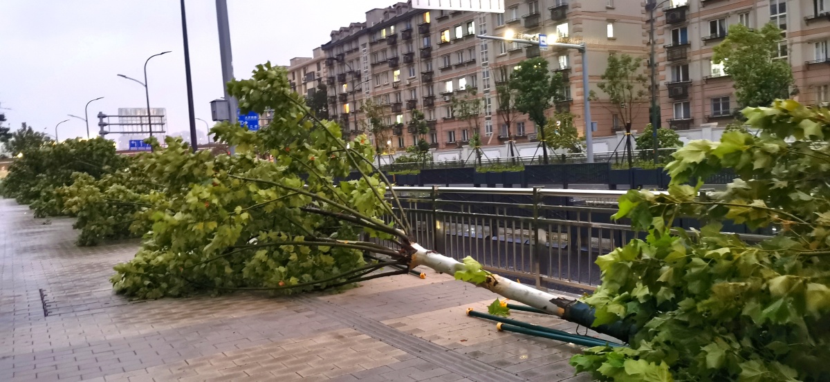 台风烟花对宁波的袭击这几张图片只是极小部分中的一角
