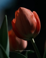 001