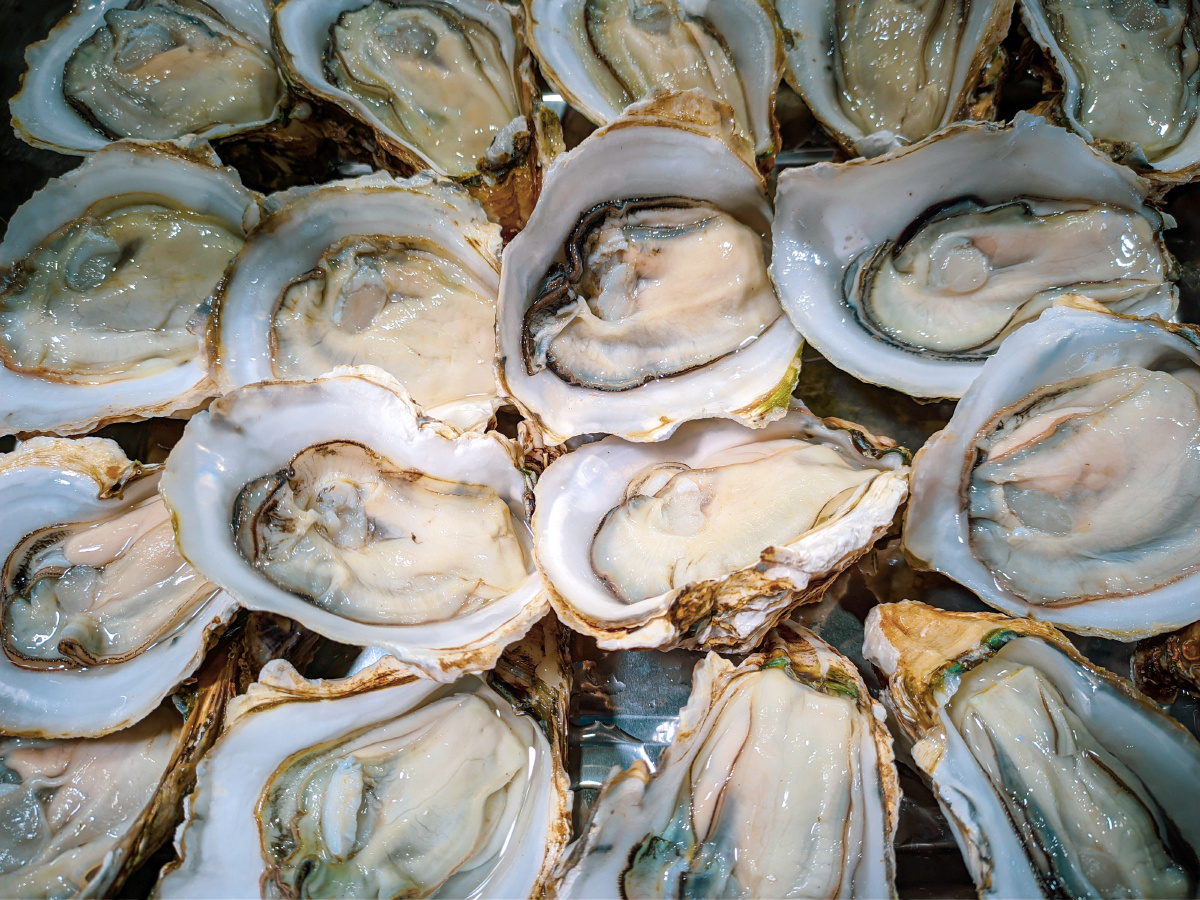 烤生蚝