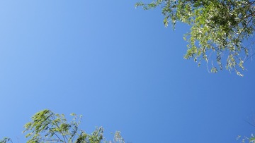 275808