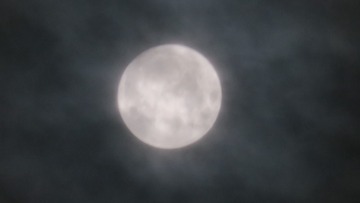 206382