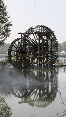 275663