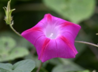 220118