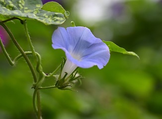 220120