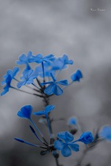 1587117