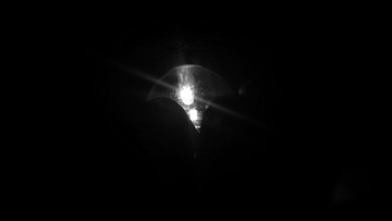 165612