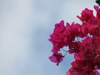 100438