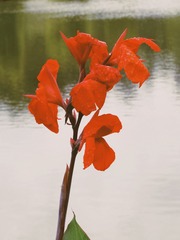 120853