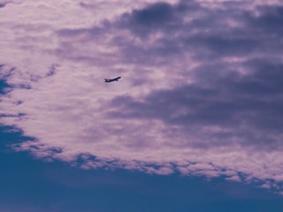 126006
