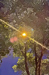 8FD05D7C-ADBC-43BB-A96A-CBA3774E70B5/L0/001