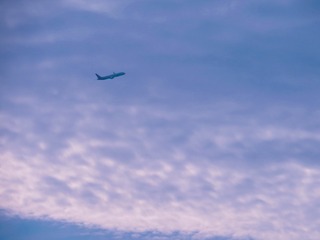 126005
