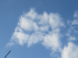100446