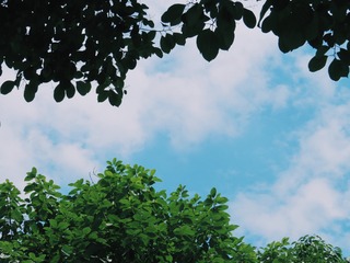 115717