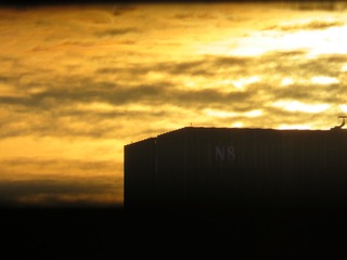 126082