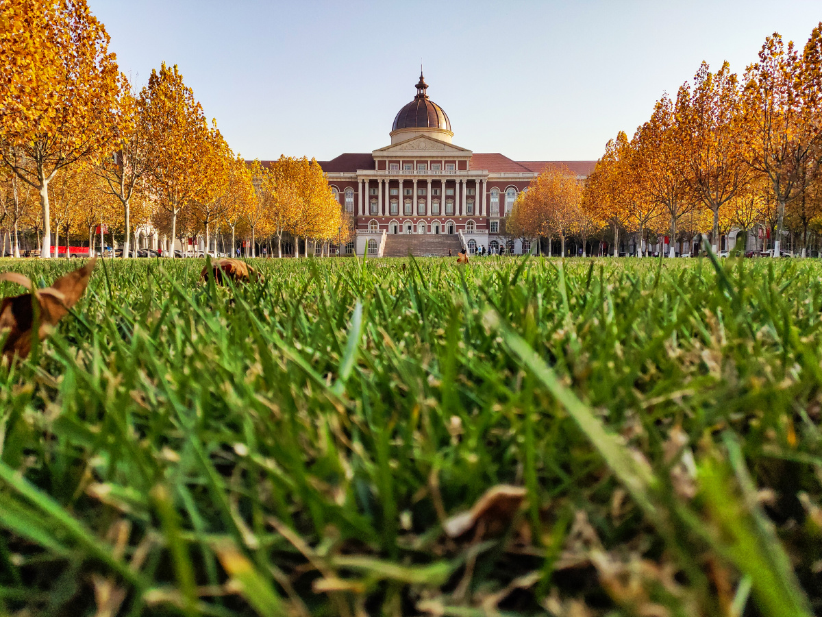 爸爸的爸爸叫爷爷