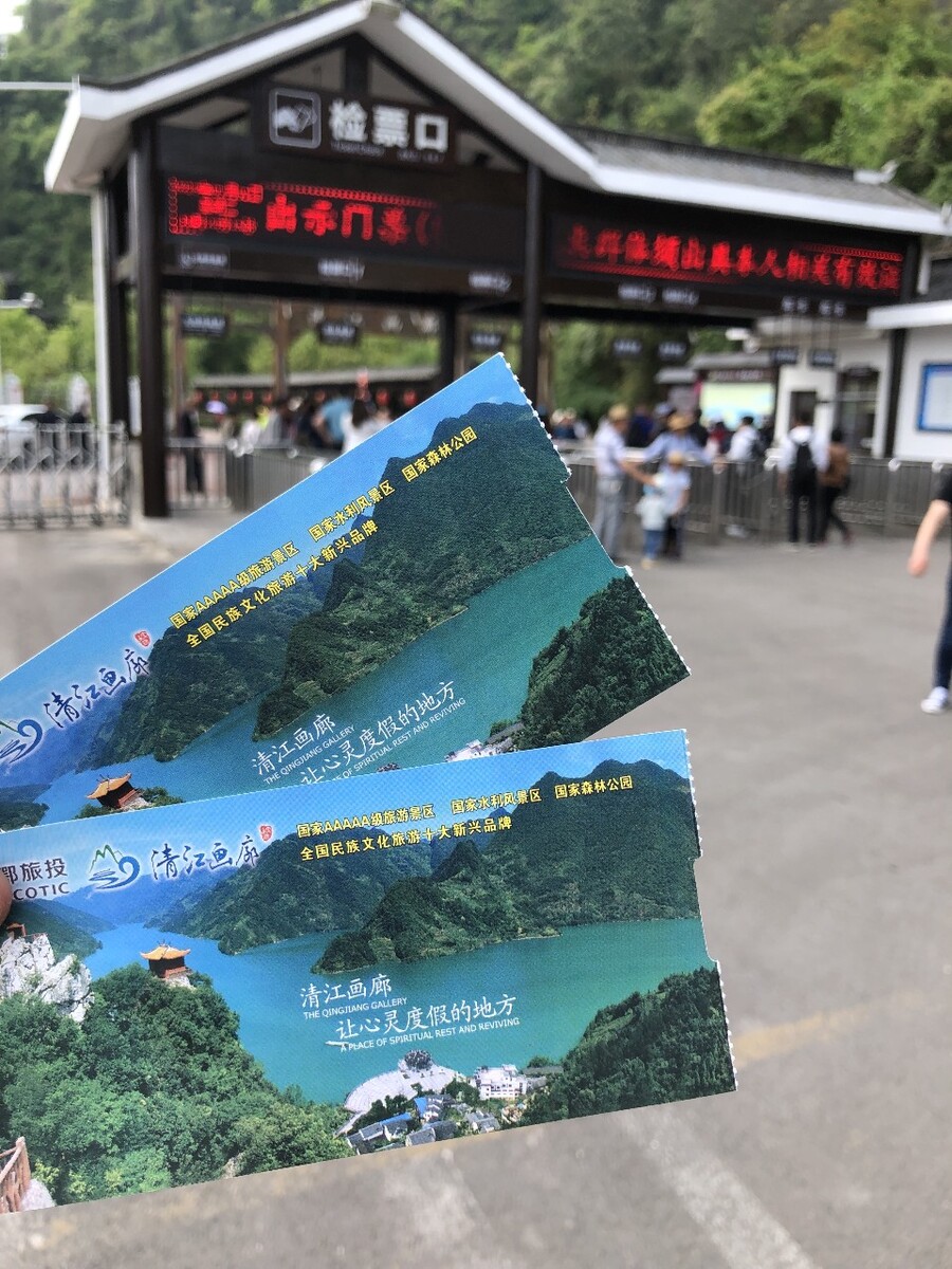 国内观景火车线