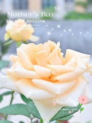AB81C764-33B3-4DFE-8FFC-24F702F7F799/L0/001