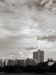 0371C3F2-D58E-4910-92D3-FA653D9915D9/L0/001