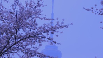 4B734292-6117-4FB4-9ACE-2725E7231ED8/L0/001
