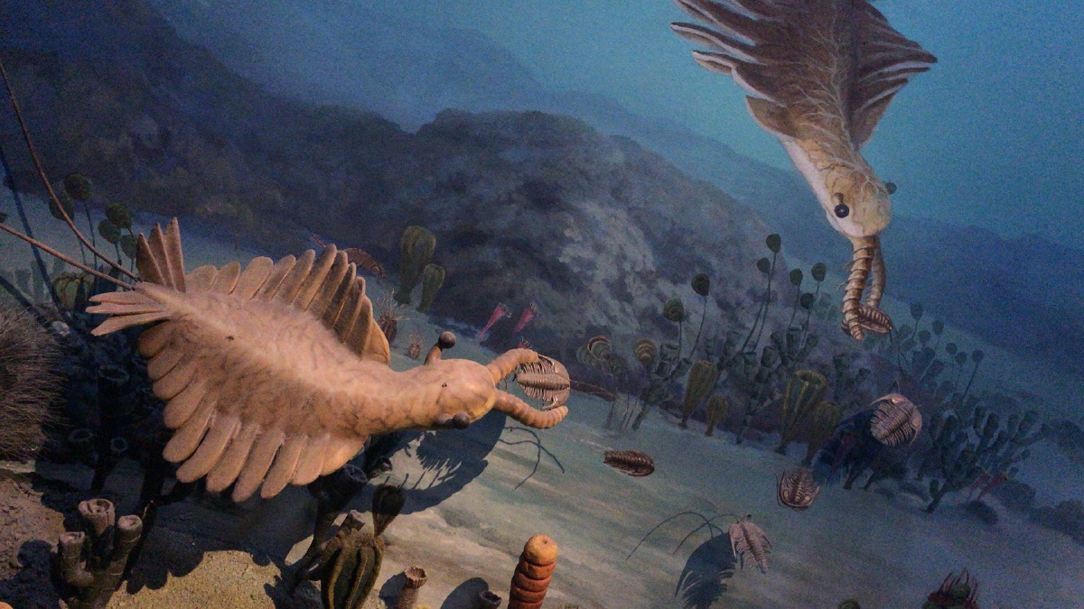 人类重大考古成果有哪些,20世纪人类最伟大的考古发现