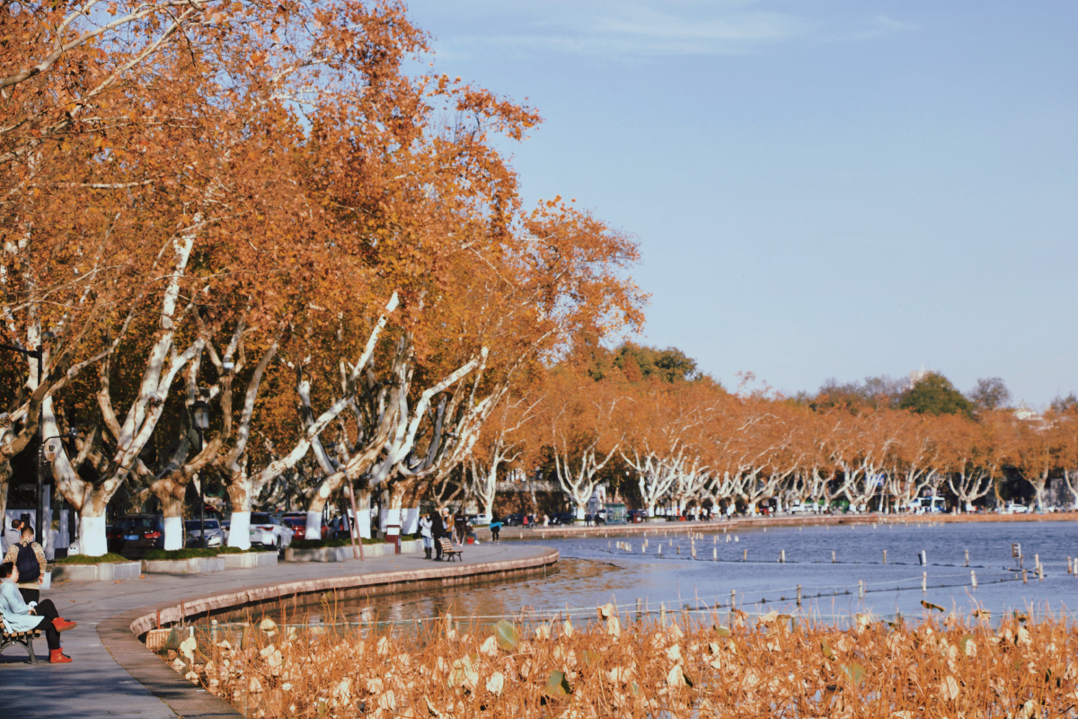 杭州西湖北山路