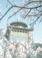 IMG_1637_wps图片
