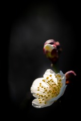 E0600360-BFE2-49F9-A7C2-E3A878850599/L0/001