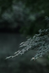 79D89605-7D46-4B4B-9D17-643EE74D0F39/L0/001