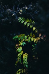 7361304B-3D88-4EE5-A5E9-BB0EFCCF70D5/L0/001