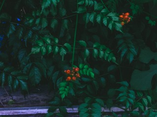 1274012