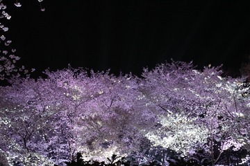6AA14752-9D79-480A-A77B-56DB0F78F1DC/L0/001