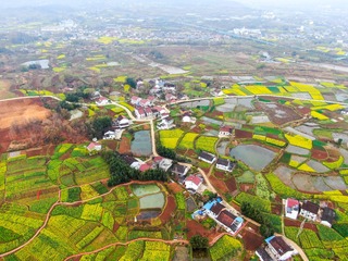 DF271845-1506-4CEB-BEF3-384D371DD4E0/L0/001