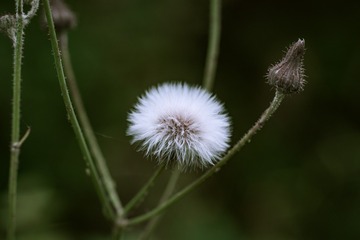 910679