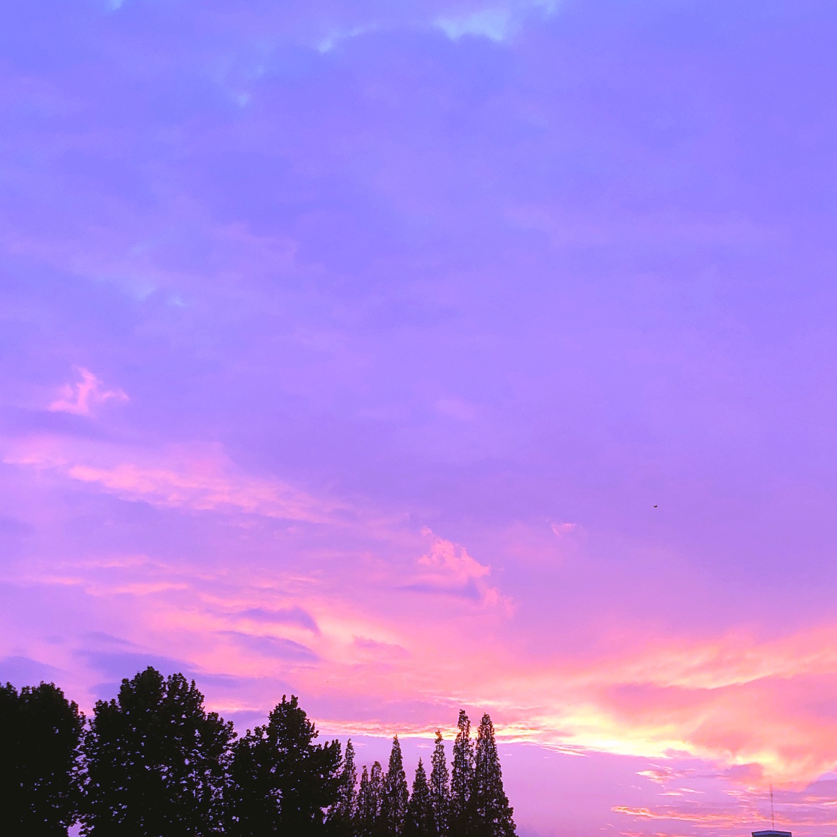 天空收集者晚霞所有美好的东西都能治愈一切