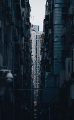 594523