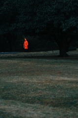 533335