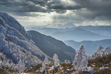 DSC_9040 (4)