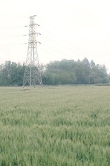 6FC7BA80-7E71-4263-9916-0AD5FBD9D66A/L0/001